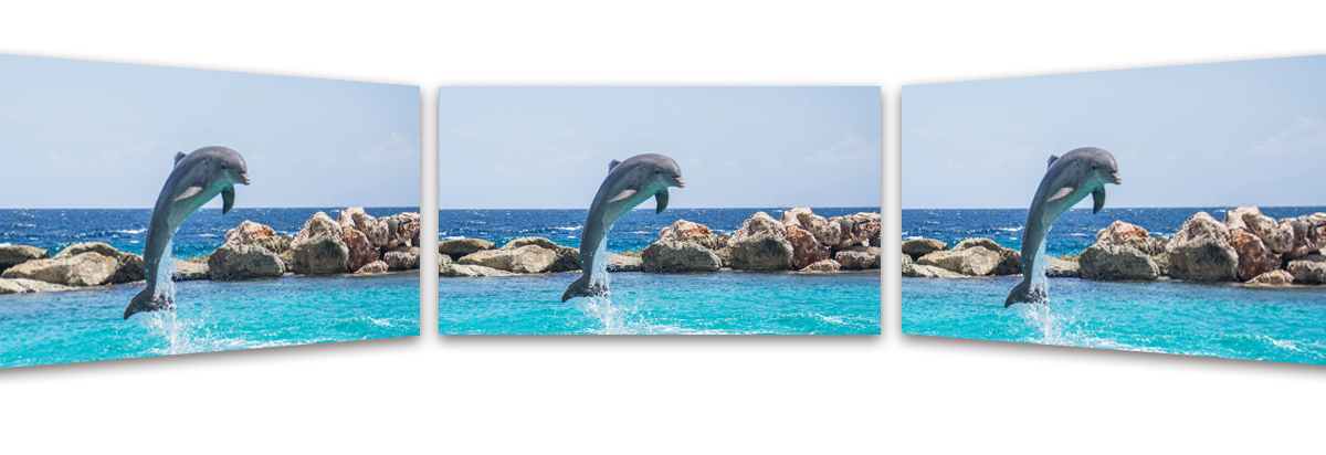 1573110001686179.jpg -室內(nèi)_14.jpg